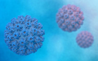 Papilloma Virus Umano